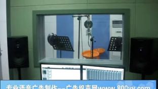 商超产品播报与广告录音制作服务